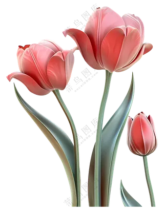 3d鲜花-美丽的粉色郁金香盛开