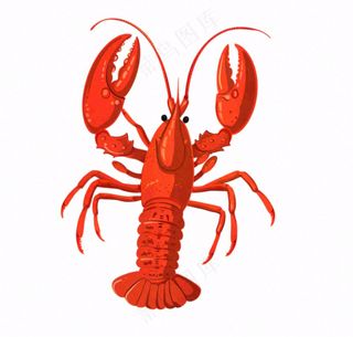 大龙虾海洋海鲜卡通插画免抠