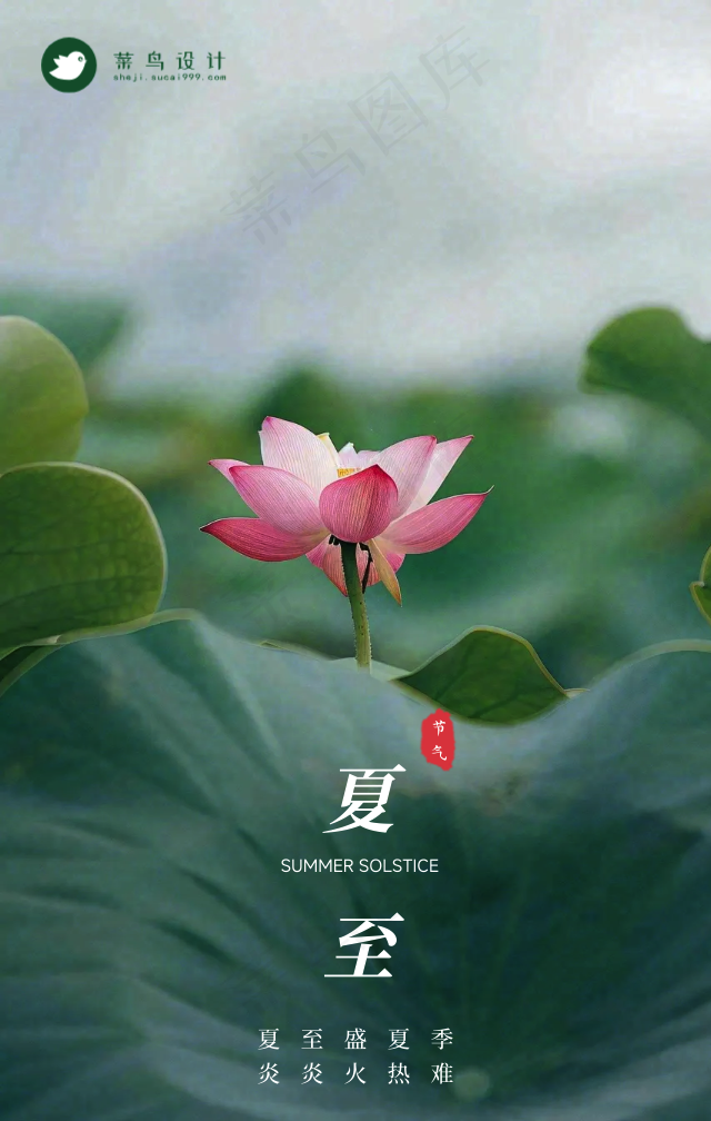夏至手机海报
