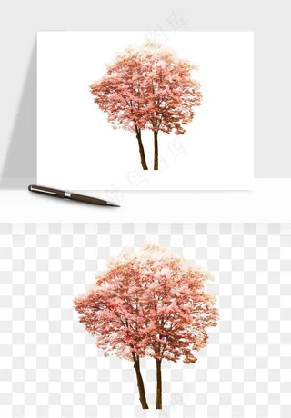 手绘樱花树png免抠