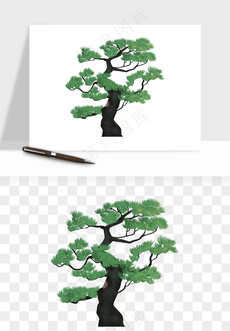国潮松树松枝松叶png免抠