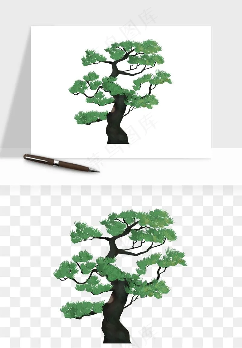 国潮松树松枝松叶png免抠