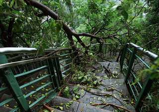 台风预警天气自然灾害