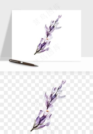 水彩复古植物花卉png免抠