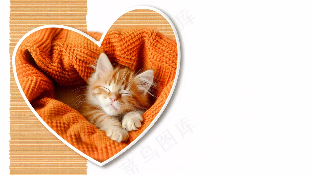 宠物常识宠物攻略猫狗卡通插画背景