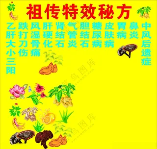 中草药果萃招牌海报