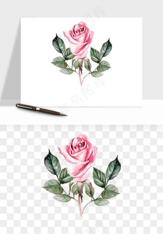 水彩复古花卉png免抠