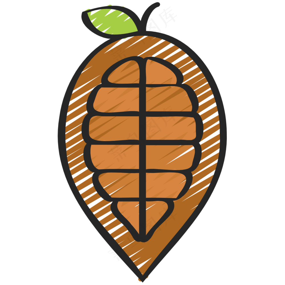 可可果 cacao 绿色健康食品 铅笔手绘图标icon