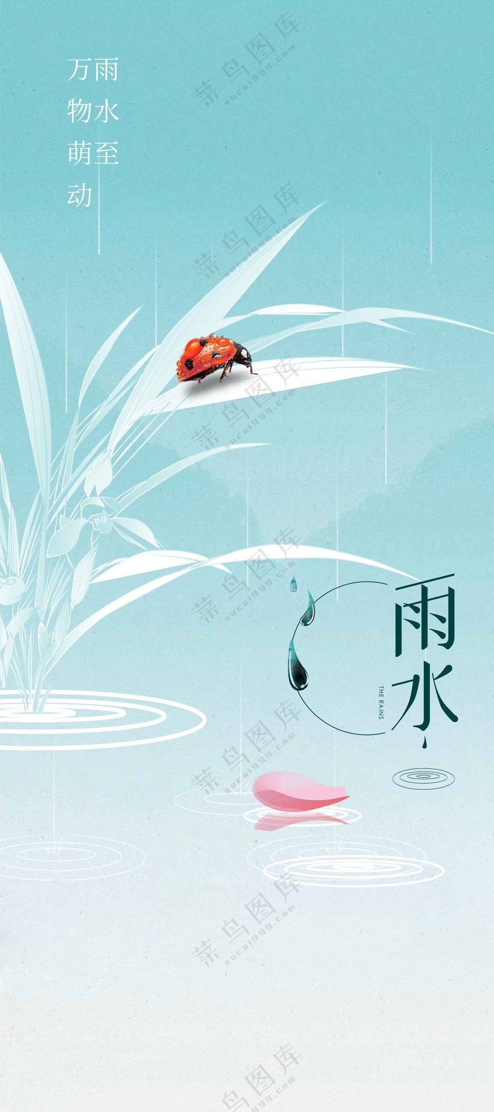 雨水节气传统活动海报