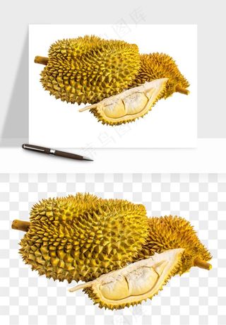 榴莲果肉水果png免抠