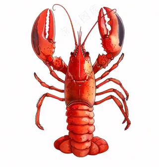 大龙虾海洋海鲜卡通插画免抠