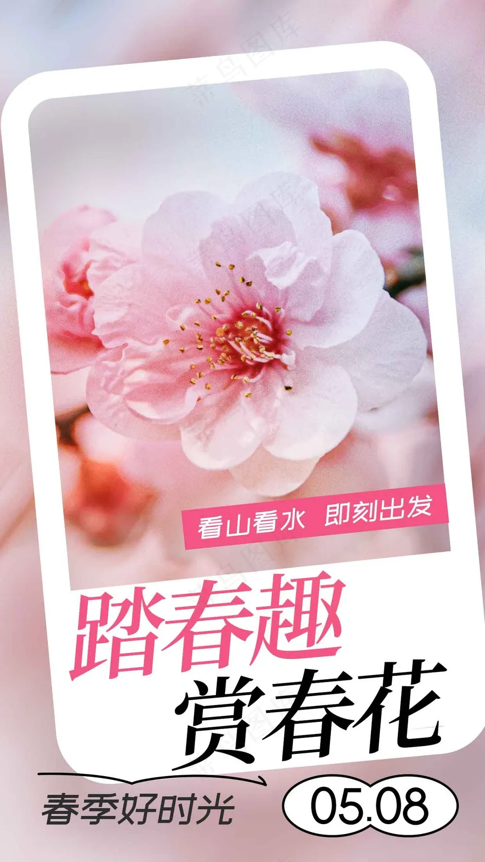 春季踏青赏花海报