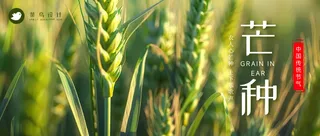芒种公众号首图