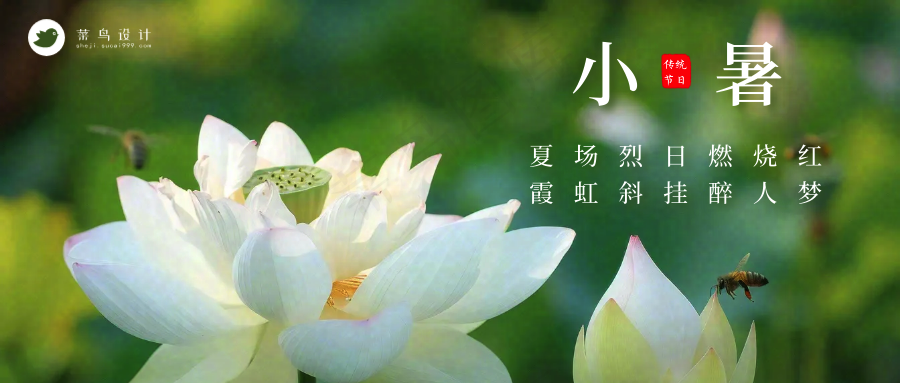 小暑公众号首图