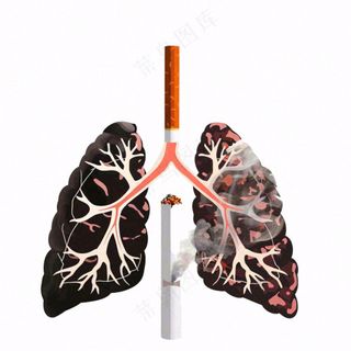 吸烟有害健康烟雾肺肝脏创意插画免抠