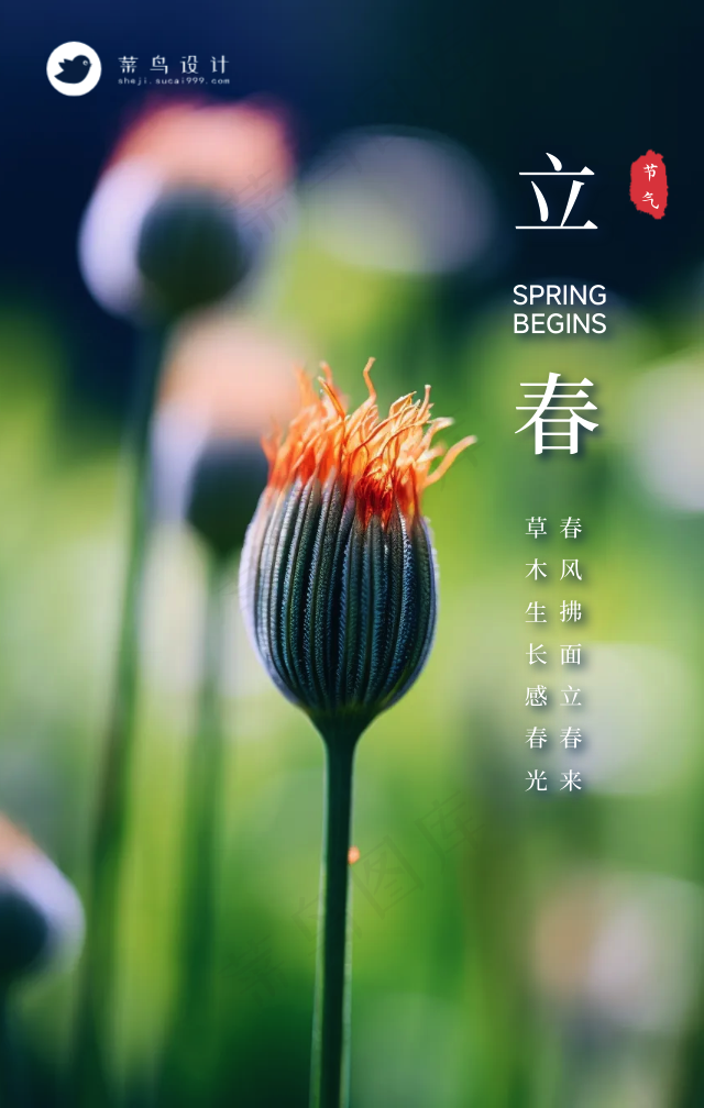立春手机海报