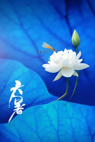 蓝色简约大暑节气海报