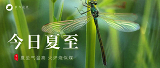 夏至公众号首图