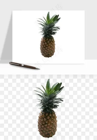 菠萝水果png免抠