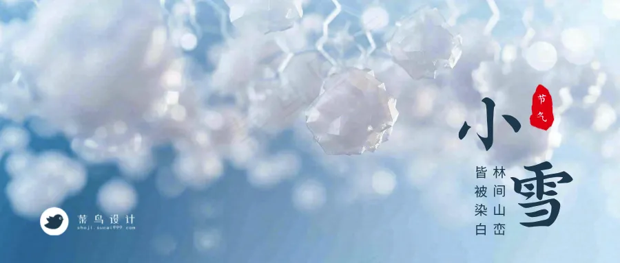 小雪公众号首图