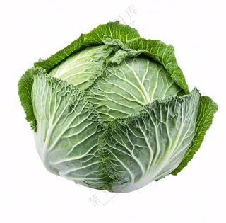 青菜蔬菜包菜免抠