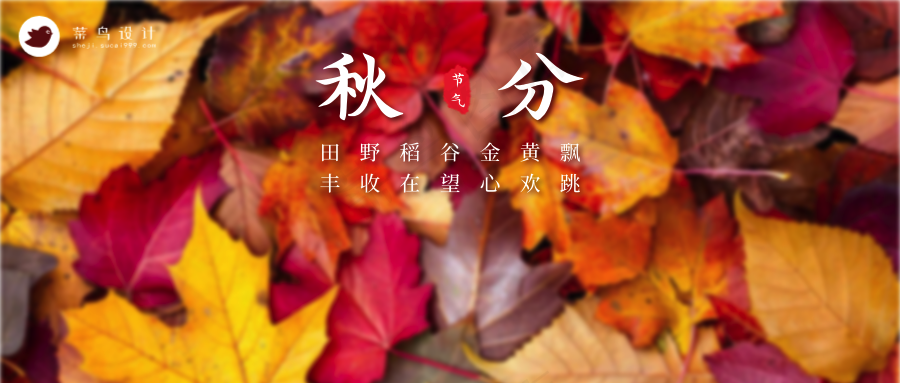 秋分公众号首图