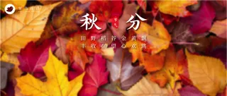 秋分公众号首图