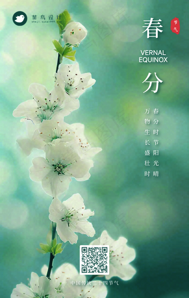 春分手机海报
