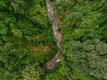 绿意盎然航拍图 绿意盎然航拍图