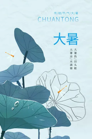 简约大暑节气海报