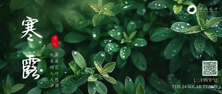 寒露公众号首图