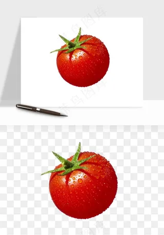 西红柿番茄圣女果png免抠