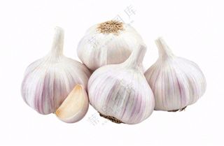 大蒜免抠