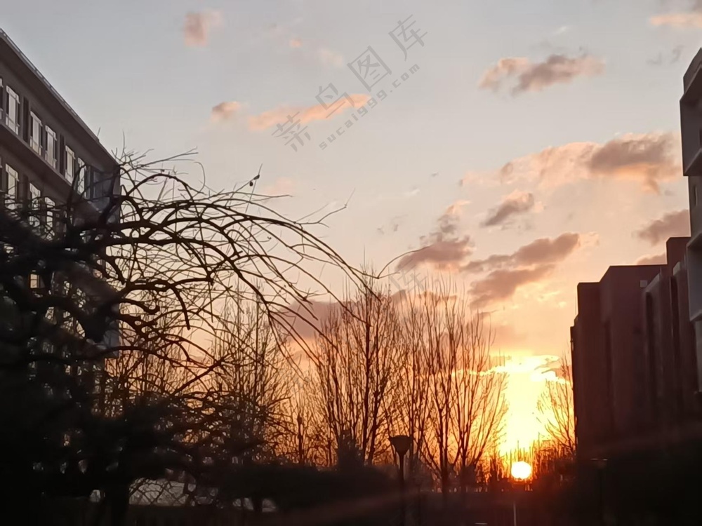 太阳初生在云的映衬下显得生机勃勃