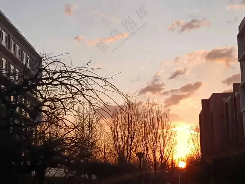 太阳初生在云的映衬下显得生机勃勃