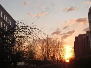 太阳初生在云的映衬下显得生机勃勃