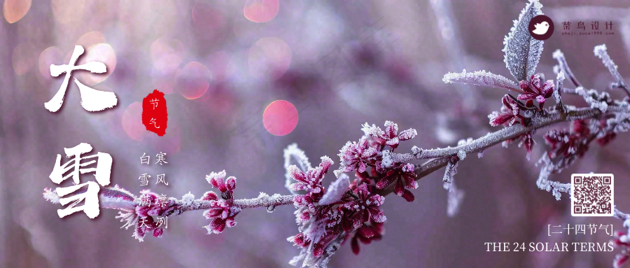 大雪公众号首图