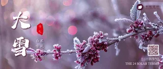 大雪公众号首图