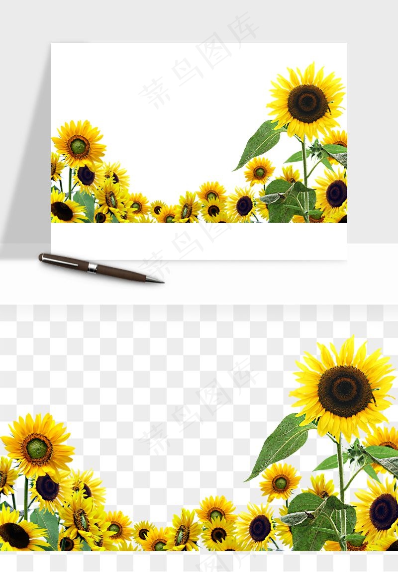 向日葵太阳花卉png免抠
