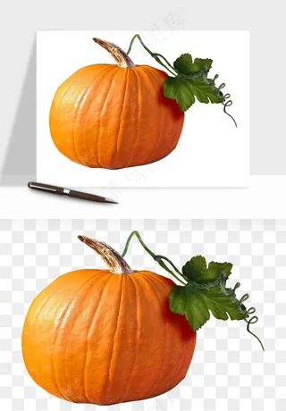 南瓜蔬菜png免抠