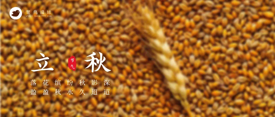 立秋公众号首图