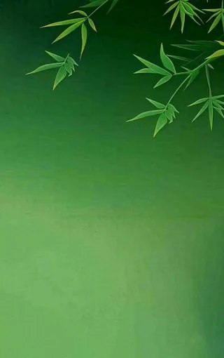 端午佳节竹子插画中国风绿色清雅静背景