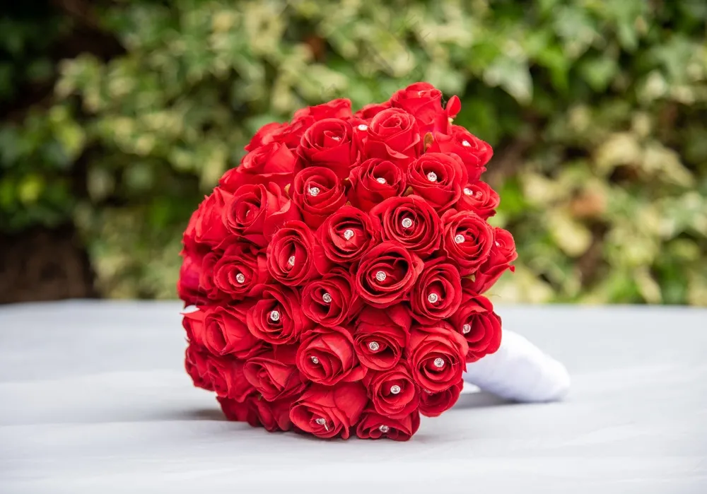 红色玫瑰花手捧花束图片