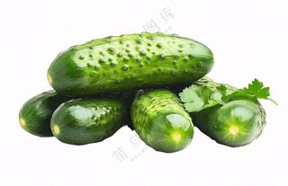 青瓜黄瓜蔬菜免抠