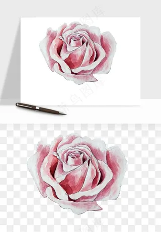 水彩复古花卉png免抠