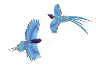 卡通漫画喜鹊比翼鸟