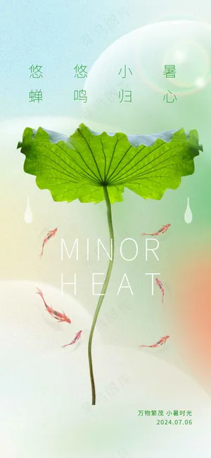 夏至节气传统活动海报