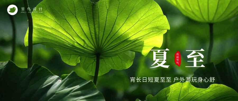 夏至公众号首图