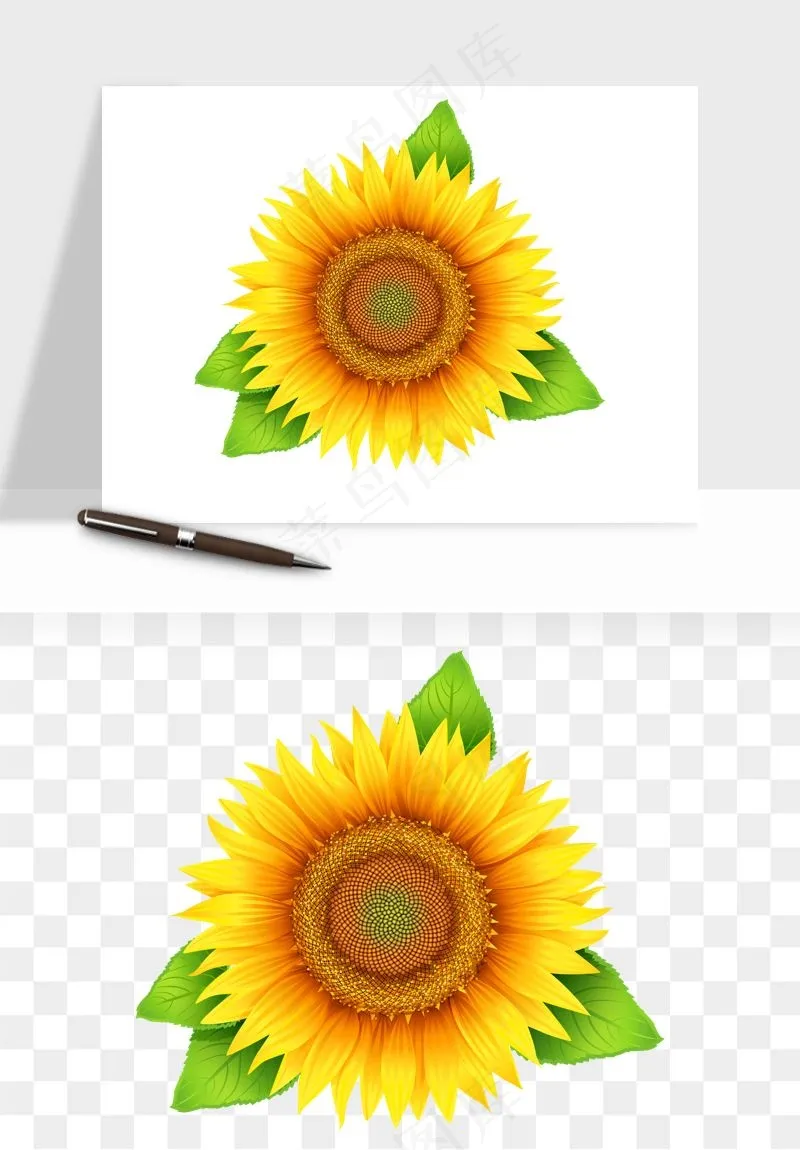 向日葵太阳花卉png免抠