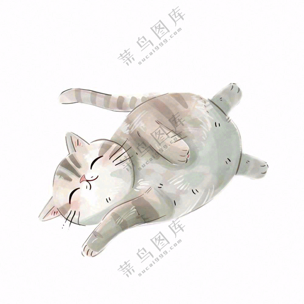 萌宠宠物卡通小猫可爱免抠